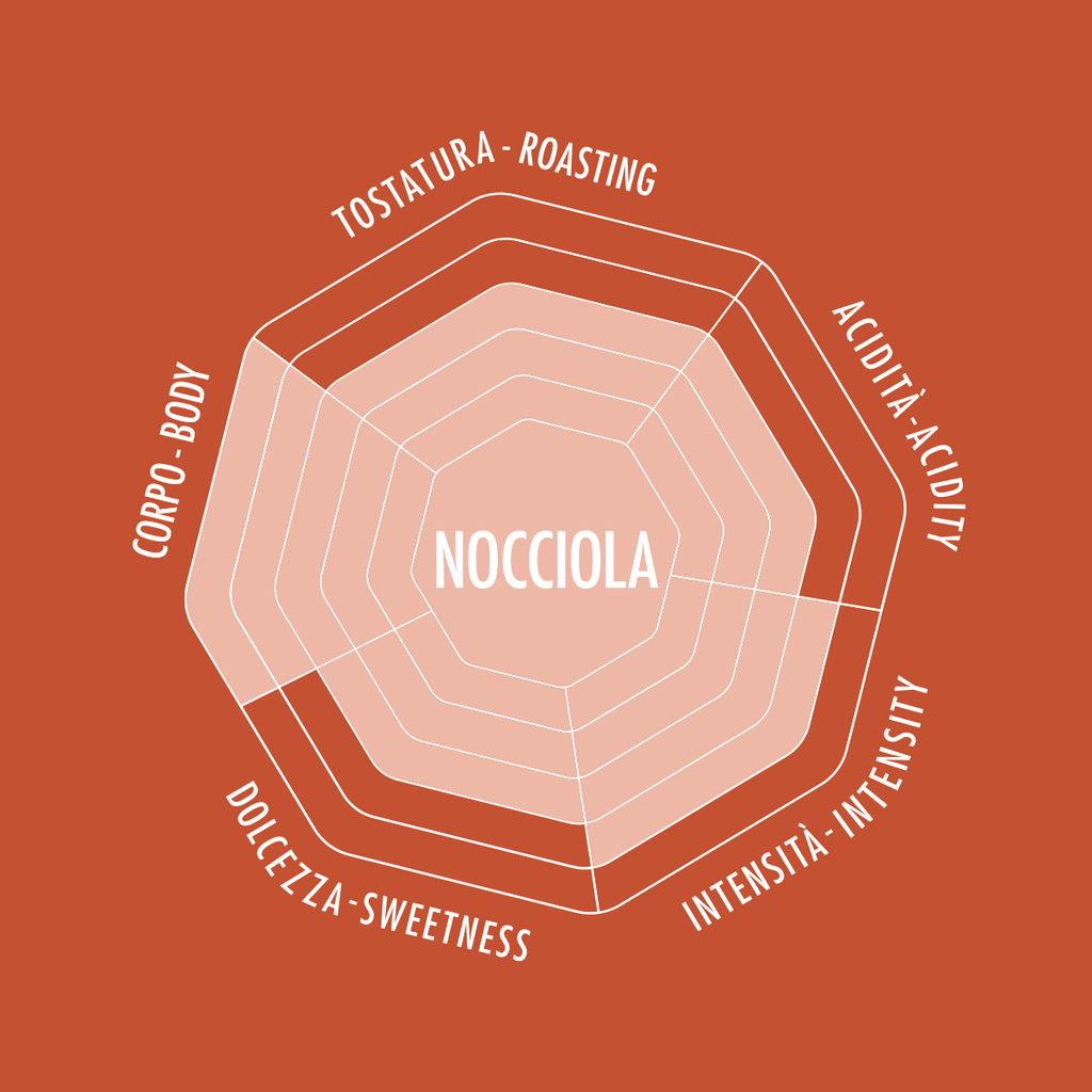 Esperto Grani Nocciola